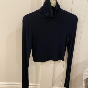 aritzia turtleneck